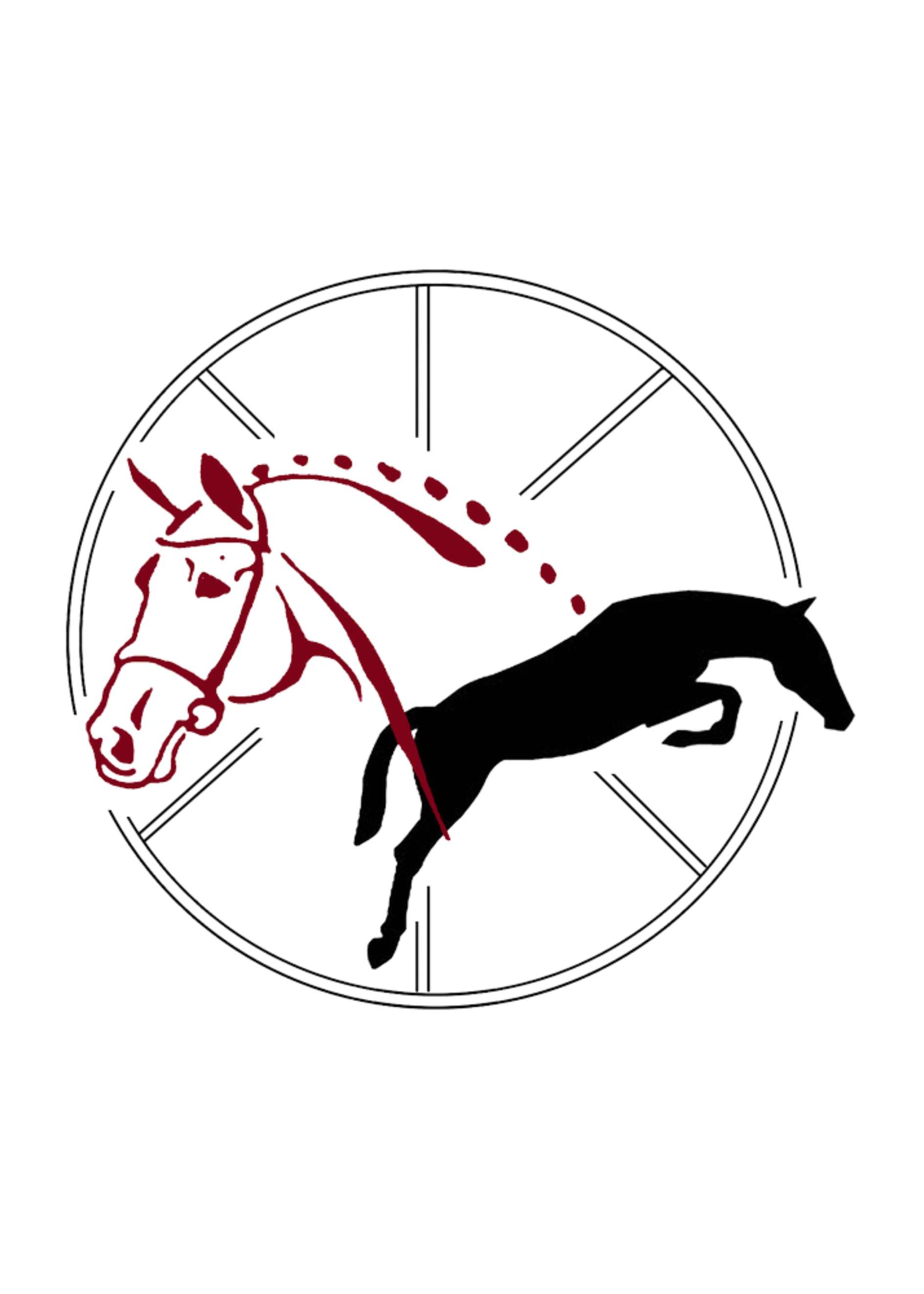 Reit- und Fahrverein Emsbüren e. V.